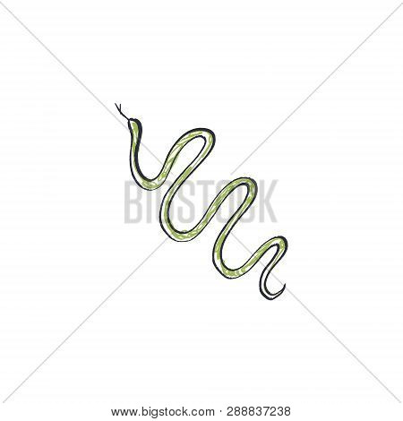 Snake Funny Doodle Pencil Stylish Isolated Sketch