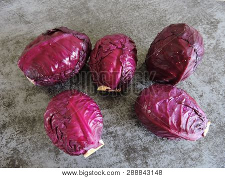 Blue Cabbage With Water Drops. Background Of Blue Cabbage. Blue Cabbage Heap.