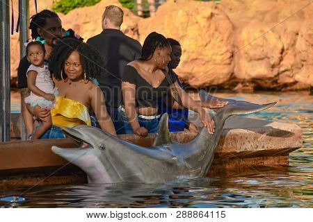 Orlando, Florida. March 09 2019. People Stroking Bottlenose Dolphin At Seaworld In International Dri