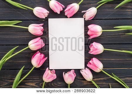 White Cardboard In The Middle Of Pink Tulips. Spring Concept