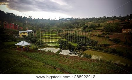 Landscape With The Rice Fields And Onive River At Antanifotsy In Madagascar