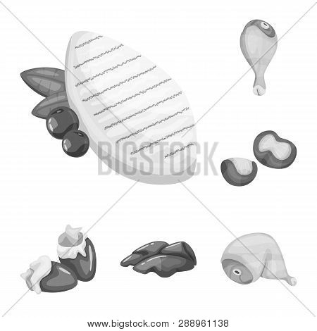 Isolated Object Of Cuisine And Bird  Icon. Set Of Cuisine And Poultry Vector Icon For Stock.