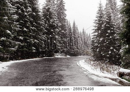 Scenic View Of The Road With Snow And Mountain And Giant Trees Background In Winter Season. Morske O