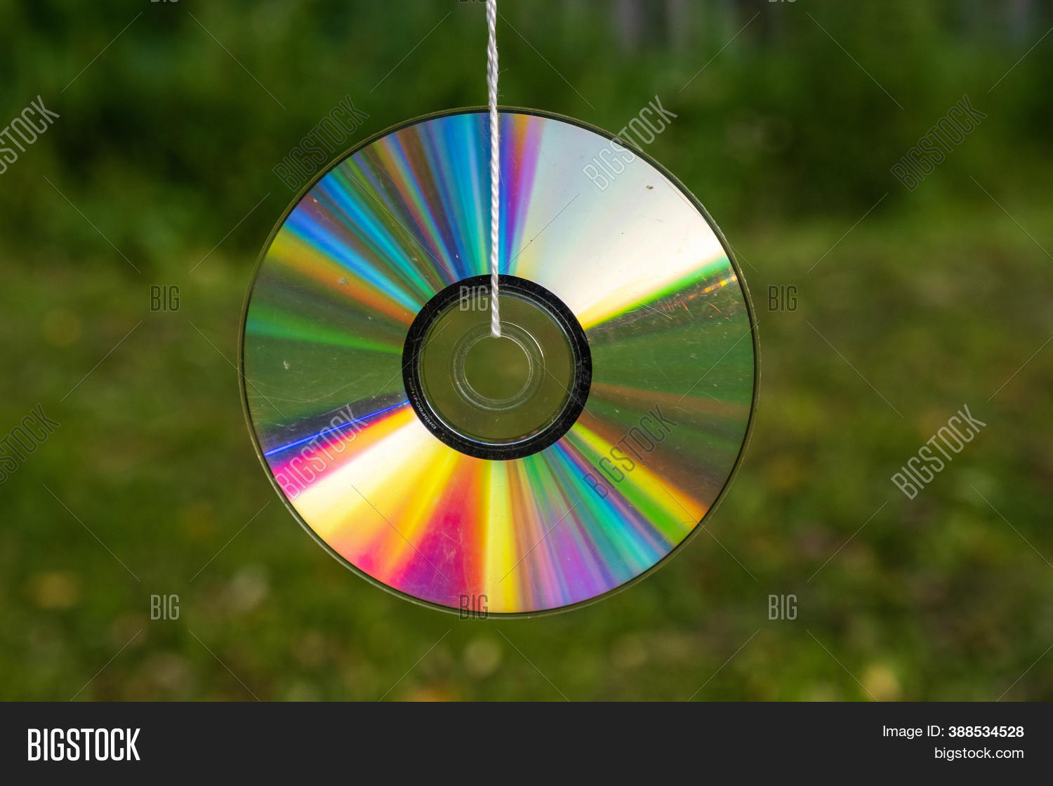 Shiny Cd Disk Sunlight Image & Photo (Free Trial) | Bigstock