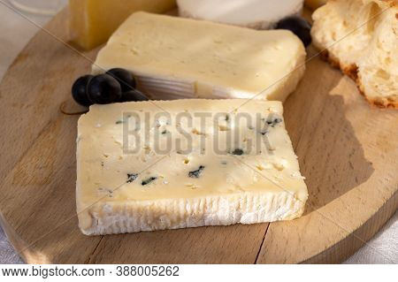 French Cheese Collection On Marble Board, Emmental, Carre De Aurillac, Petit Cantal Aop Jeune, Buche