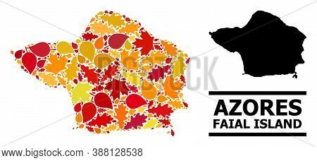 Mosaic Autumn Leaves And Usual Map Of Faial Island. Vector Map Of Faial Island Is Created From Scatt