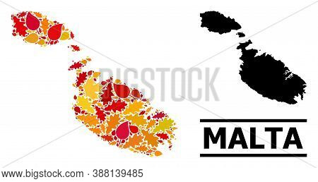 Mosaic Autumn Leaves And Solid Map Of Malta. Vector Map Of Malta Is Done Of Randomized Autumn Maple 