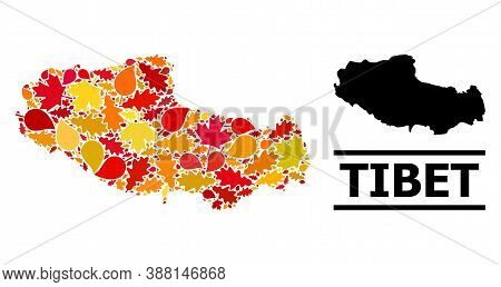 Mosaic Autumn Leaves And Usual Map Of Tibet. Vector Map Of Tibet Is Shaped From Scattered Autumn Map