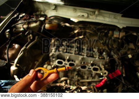 Engine Oil Checker In A Automobile Center