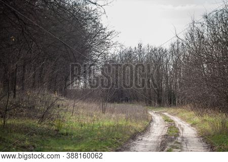 Hiking Sandy Dirt Path In The Suboticka Pescara, Near The Serbia City Of Subotica, In Vojvodina. The