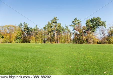 Lawn With Mown Grass On A Background Of The Autumn Mixed Forest And Clear Sky