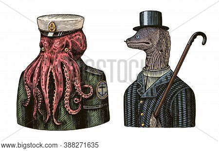 Octopus Sailor. Sea Captain And Muraena Eels. Fashion Animal Character. Nautical Seaman Or Nautical 