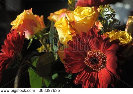 Bouquet With Gerberas And Yellow Roses Close Up Photo