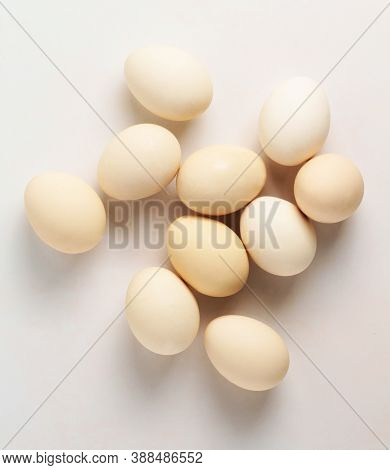 Chicken Eggs On A White Background. White Egg. Top Viev
