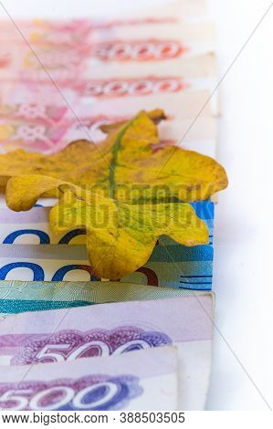 Paper Money And Oak Leaves, Russian Money And Autumn Leaves, Five Thousand And Two Thousand Rubles