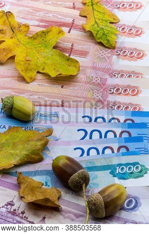 paper money and oak leaves, Russian money and autumn leaves, five thousand and two thousand rubles
