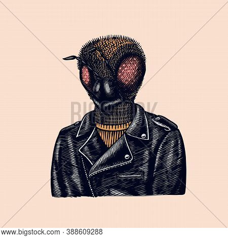 Bee Biker. Fly In A Leather Jacket. Fashion Insect Character. Hand Drawn Sketch. Vector Engraved Ill