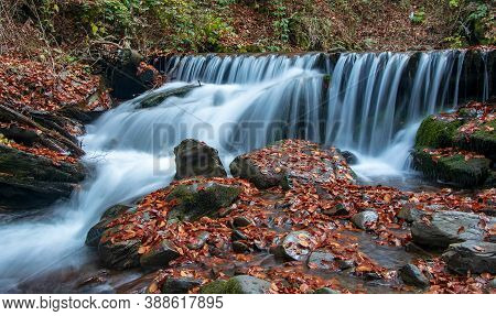 Beautiful Autumn Waterfall. Carpathian Mountains, Ukraine. Red Beech Leaves On Stones.