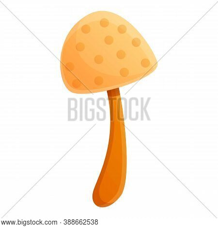 Autumn White Mushroom Icon. Cartoon Of Autumn White Mushroom Vector Icon For Web Design Isolated On 