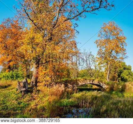 Demidovsky Park In Autumn And The Old Stone Bridge In The Village Of Taitsy, Russia.