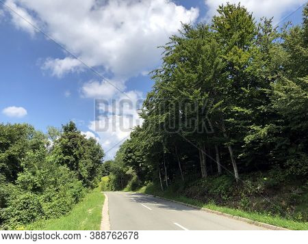Hiking Trails, Forest Paths And Bicycle Roads In The Ucka Nature Park, Croatia