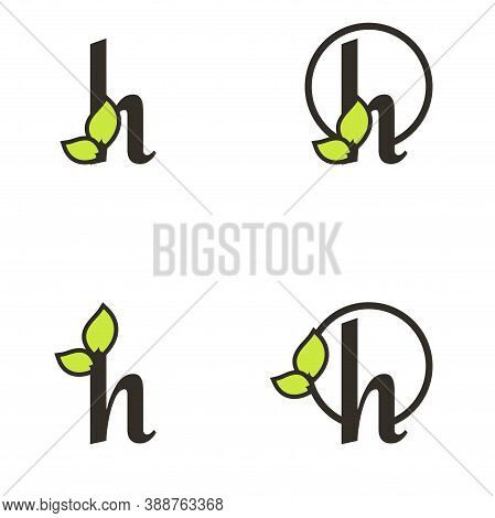 Letter H Logo Template, Tree Leaf Design Vector