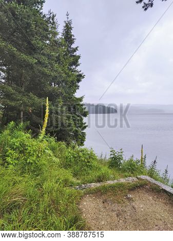 Summer View Of Golyam Beglik Reservoir, Pazardzhik Region, Bulgaria