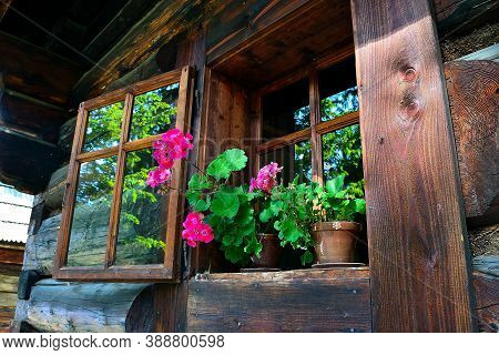 Summer Flowers In The Log Cabin Window