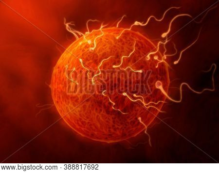 Sperm And Egg - Illustration Of Sperm Fertilizing The Egg, Close Up View, Inside The Female Genital 