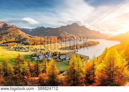 Panorama of Sils village and lake Sils (Silsersee) in Swiss Alps mountains. Colorful forest with orange larch. Switzerland, Maloja region, Upper Engadine. Landscape photography