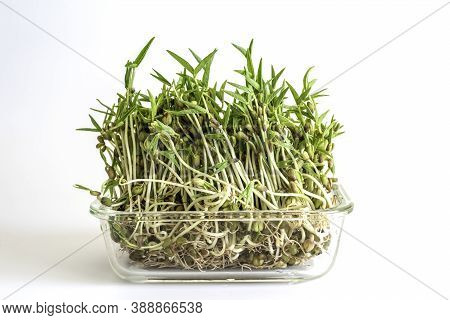 Mung Bean Sprouts On White Background. Healthy Food.