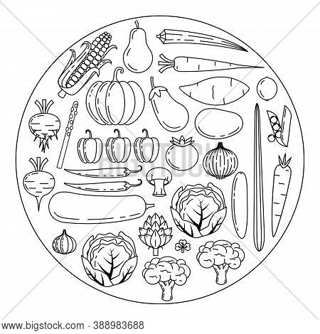 Healthy Fresh Vegetables, Outline Sketch For Color Fill, Vegan,