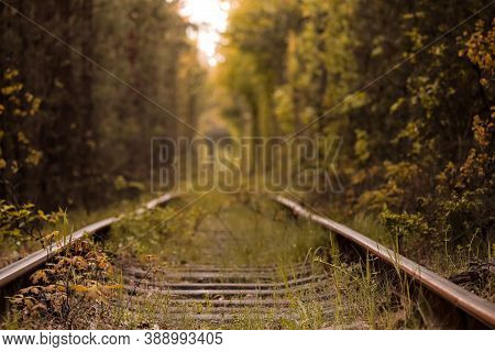 Fall Autumn Tunnel Of Love. Tunnel Formed By Trees And Bushes Along A Old Railway In Klevan Ukraine.