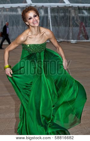 NEW YORK - MAY 18: Cari Modine attends the 69th Annual American Ballet Theatre Spring Gala at The Metropolitan Opera House on May 18, 2009 in New York City.