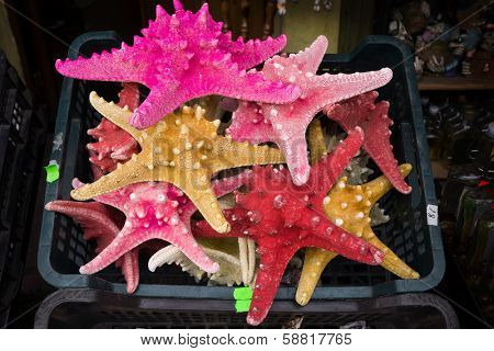 Starfish (Asteroidea) for sale at market. 