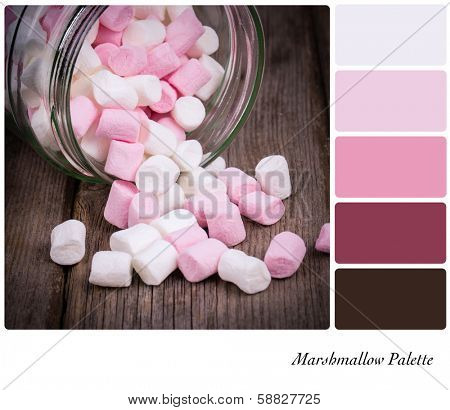 Marshmallow background colour palette with complimentary swatches.