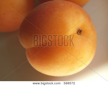 albaricoque