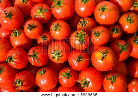 Red  tomatoes