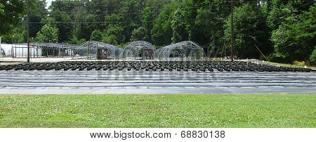 Plant nursery