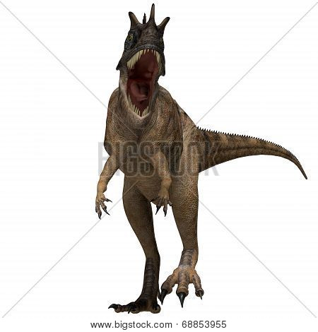 Ceratosaurus Dinosaur Profile