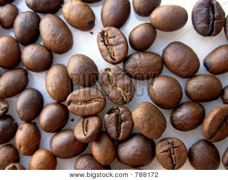 caffè