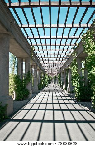 Wroclaw Pergola In The Sun
