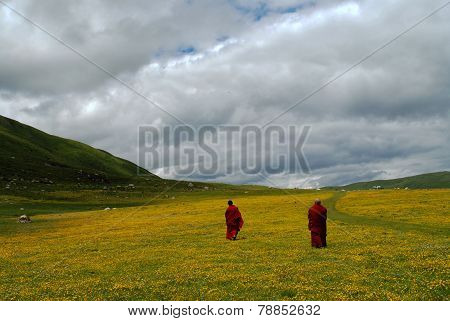 Gannan Grassland