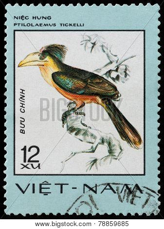 Exotic Bird