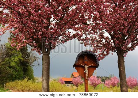 Idyllic Landscape