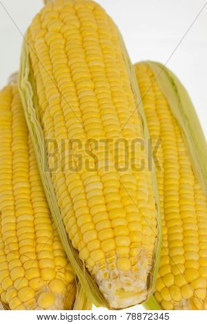 Yellow Corn