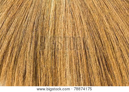 Broom Background
