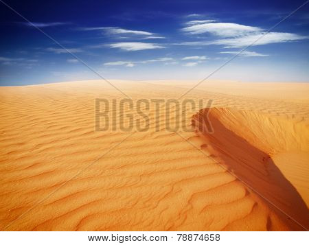desert landscape