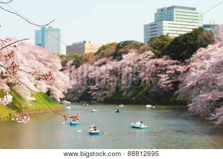 TOKYO JAPAN - MARCH 30 ,2015 : Chidorigafuchi is a moat located in the northwest of the Imperial Pal