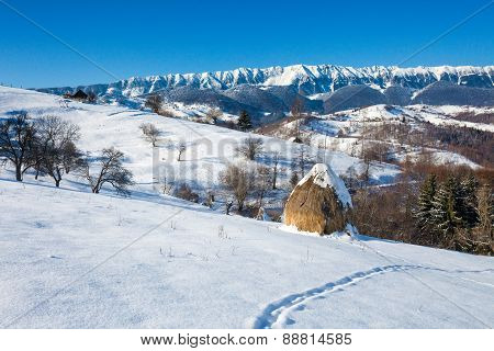 Typical Winter Scenic View With Hayracks